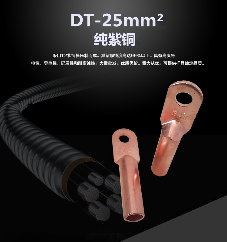 DT-25mm2铜鼻子