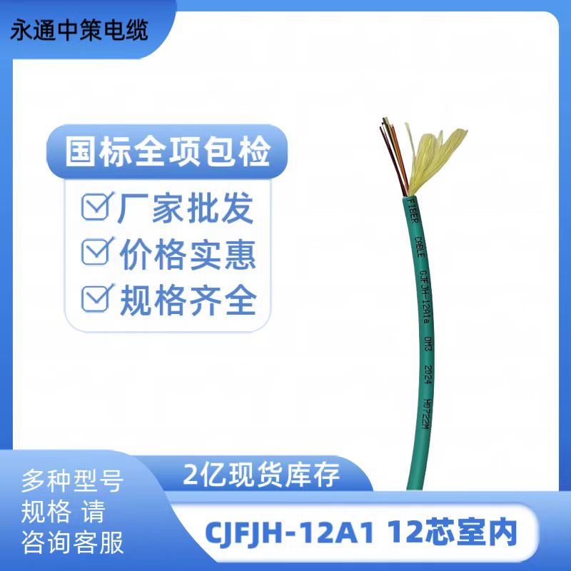 永通中策CJFJH-12A1光缆 12芯室内多模万兆